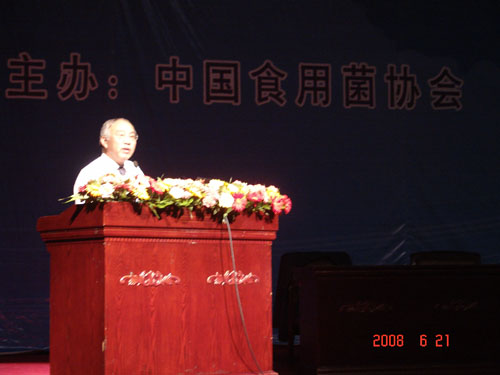 鸿运国际 鸿运国际